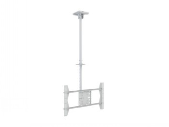 MB PUBLIC CEILINGMOUNT LARGE SINGLE WHITE 3000