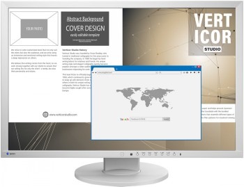 EIZO FLEXSCAN EV2430 24.1" WUXGA IPS 16:10/DP/DVI-D/VGA/5Y GY