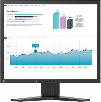 EIZO FLEXSCAN S1934 19" IPS 5:4/DP/DVI-D/VGA/5Y